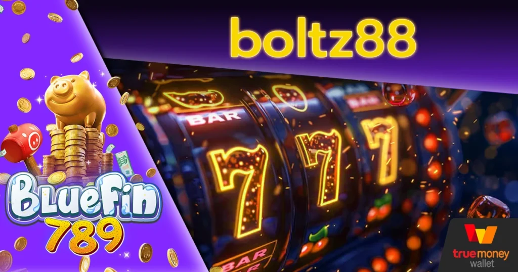 boltz88